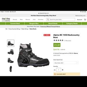 Alpina back country cross country ski boots.